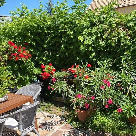 Golyashaz Apartman Kovagoors Екстериор снимка